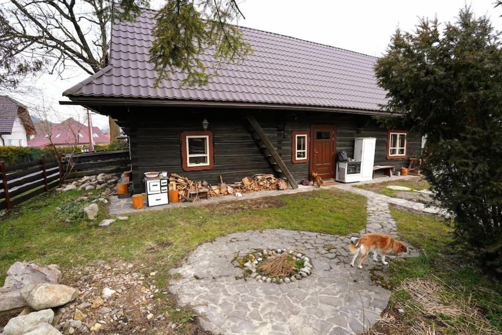 Vila Drevenica Harmony Ruzomberok Exteriér fotografie